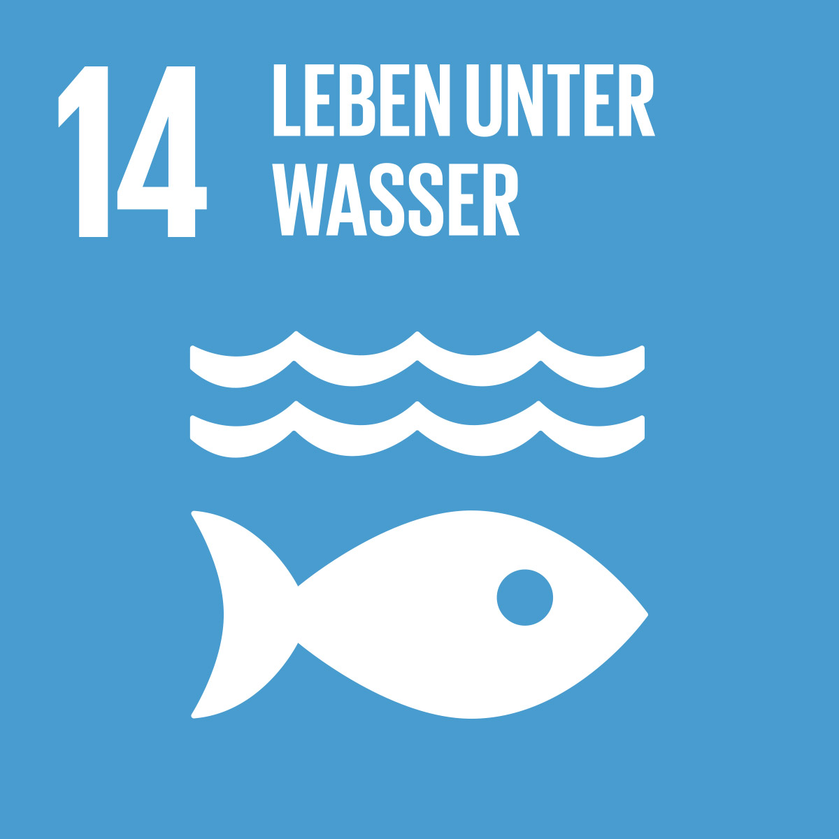 14-Leben-Wasser