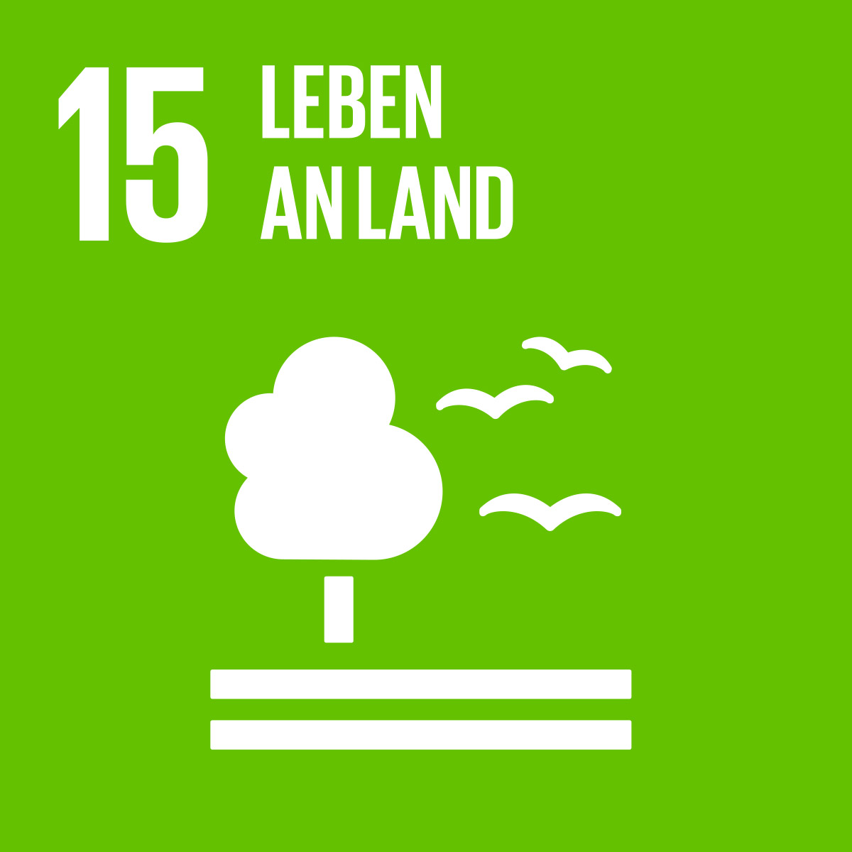 15-Leben-Land