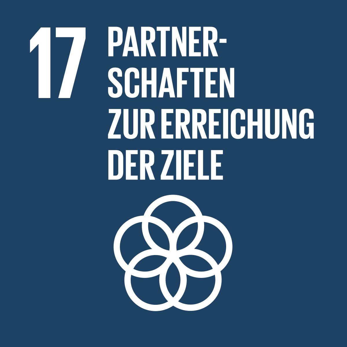 17-Partnerschaft