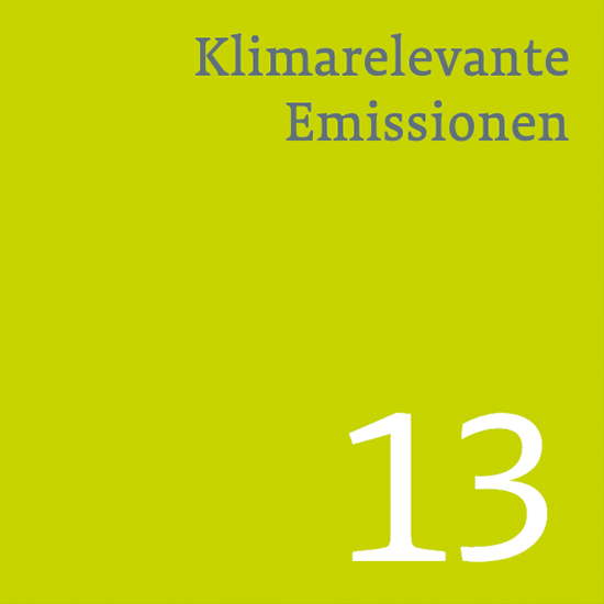 DNK-13