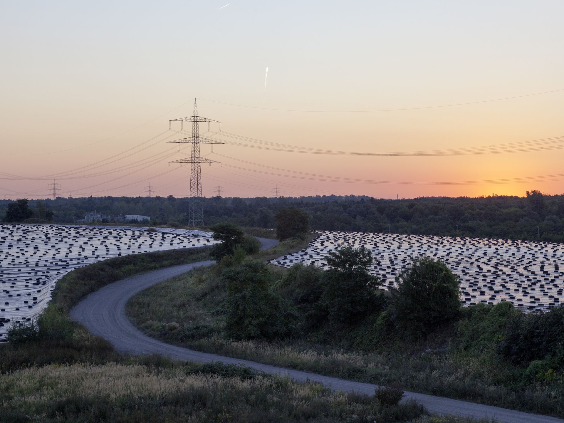 Deponie im Morgengrauen Flache Landschaft im Morgengrauen, mit Deponieflächen, die mit großen Planen abgedeckt sind.