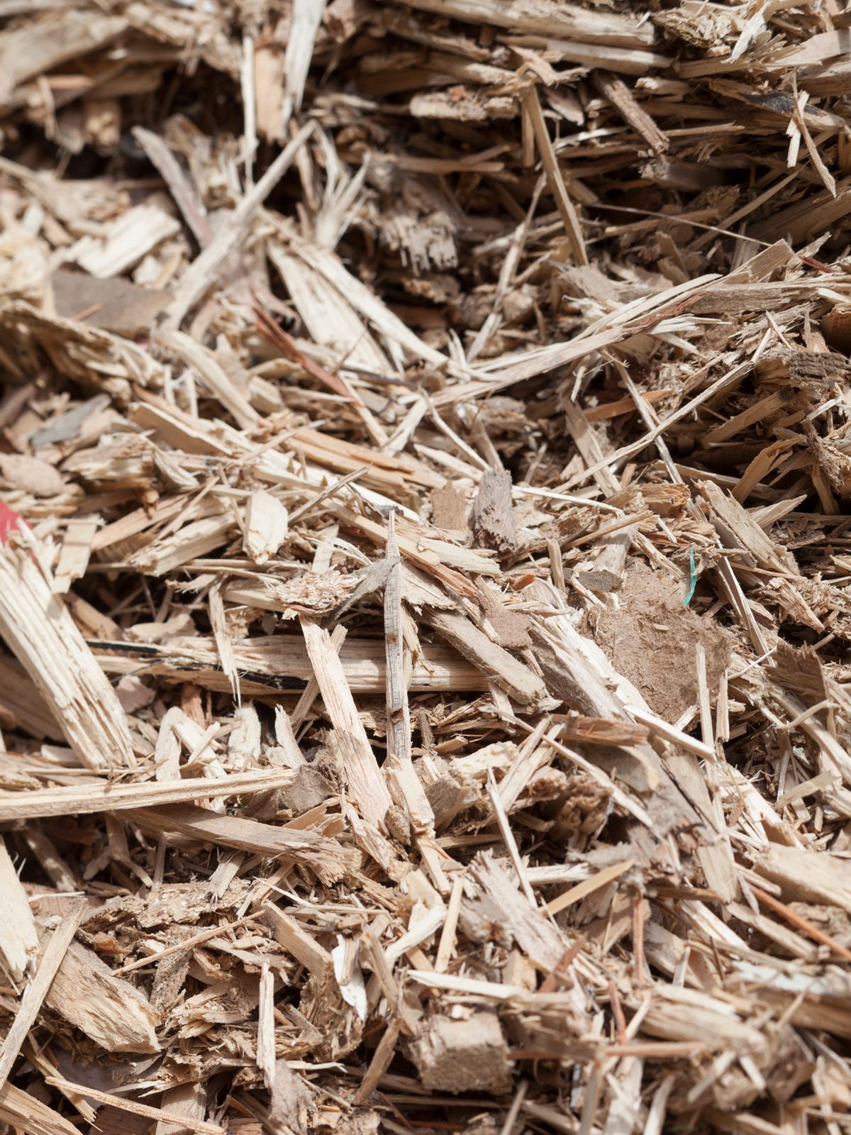 Haufen an Holzresten 